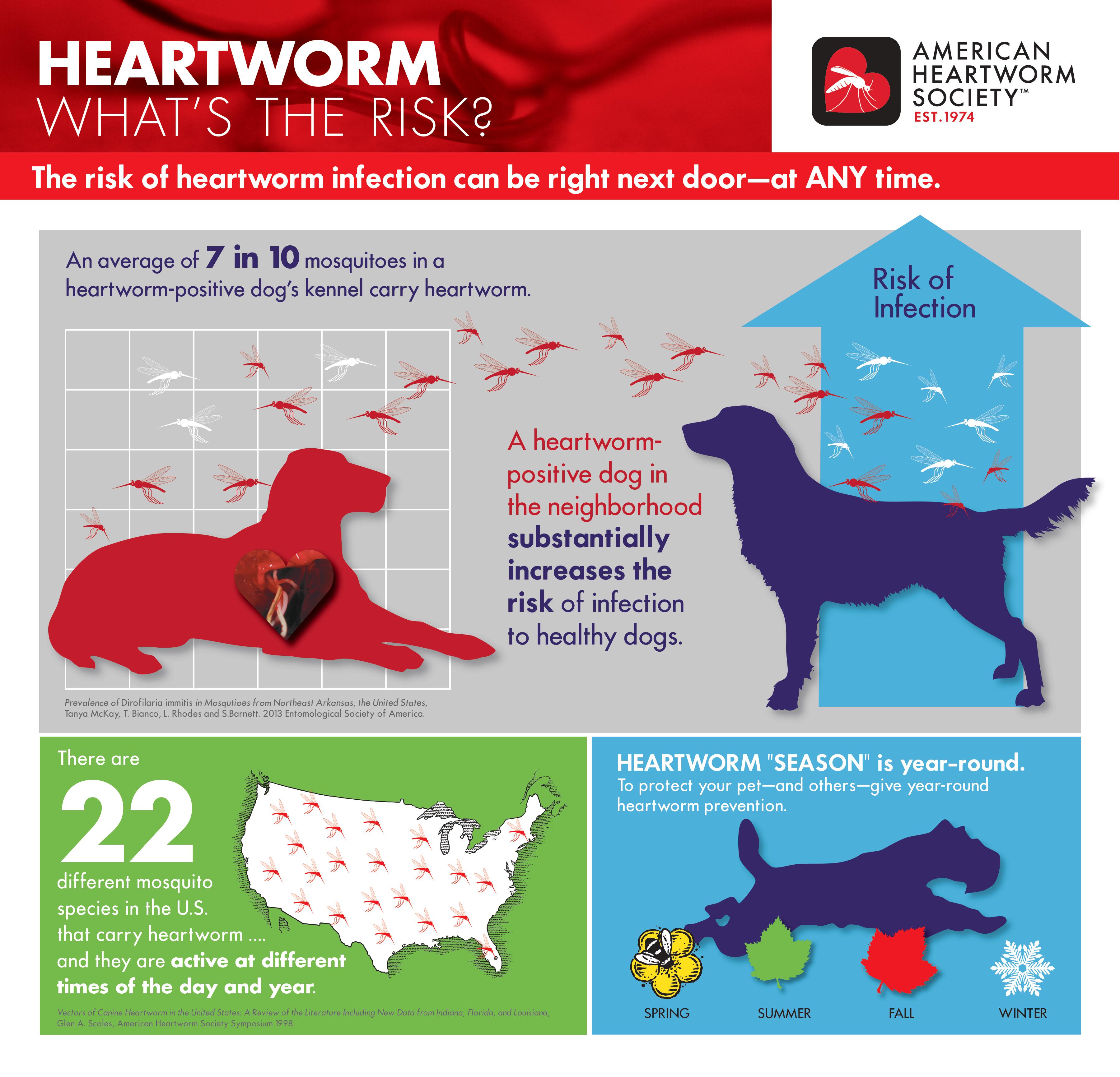 can a puppy get heartworm