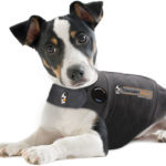 thundershirt-dog