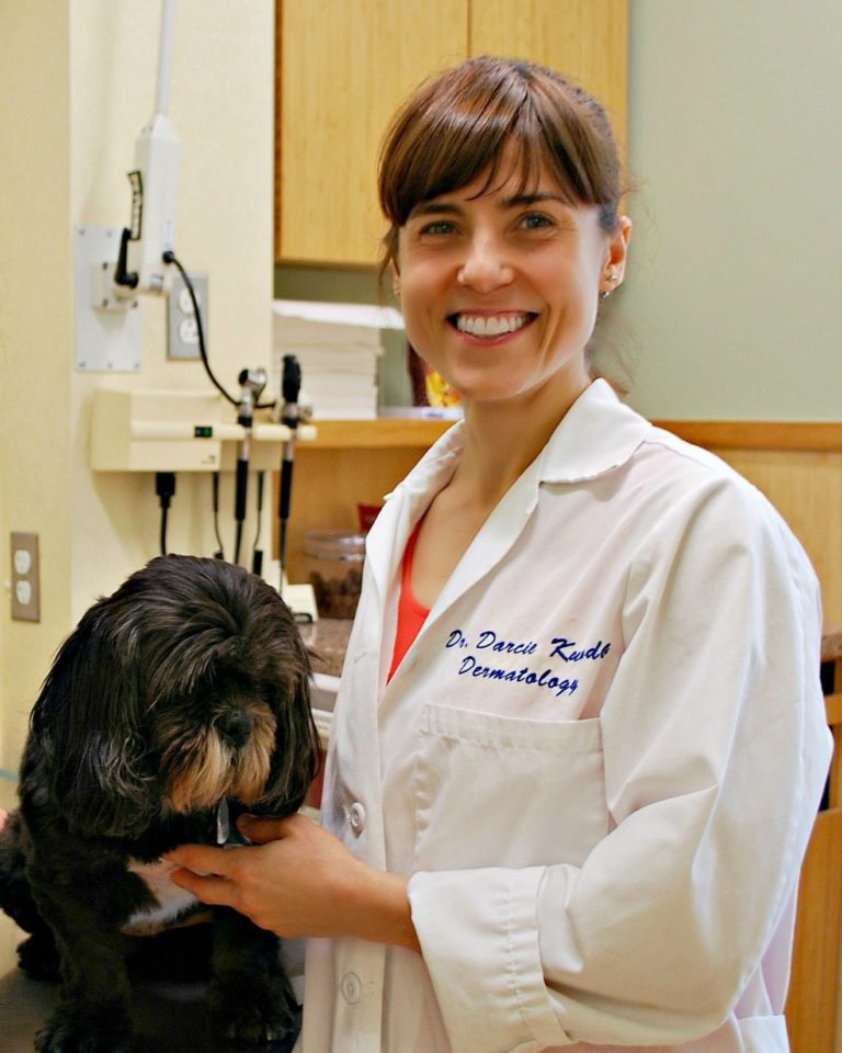 Dermatology Friendship Hospital for Animals