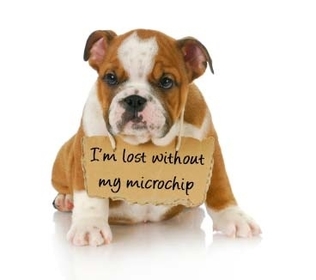 what does microchip mean in a dog