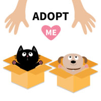 Choosing the Right Pet and Breed for Your Lifestyle - Friendship