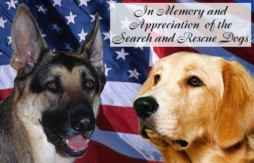 Remembering All Of 9 11 Friendship Hospital For Animals