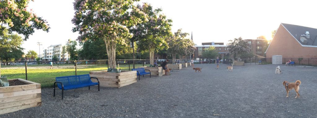 Guide to the DMV's Most Loved Dog Parks - Friendship Hospital for Animals