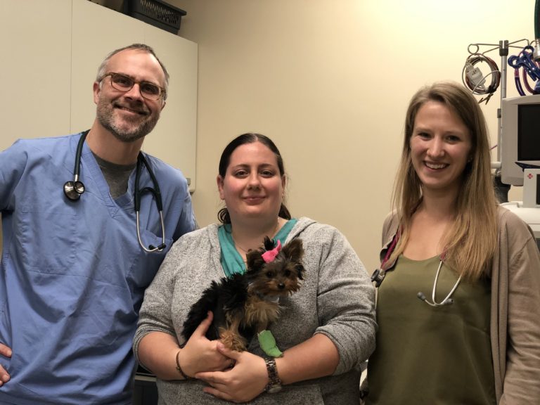 Nephrology & Urology Friendship Hospital for Animals