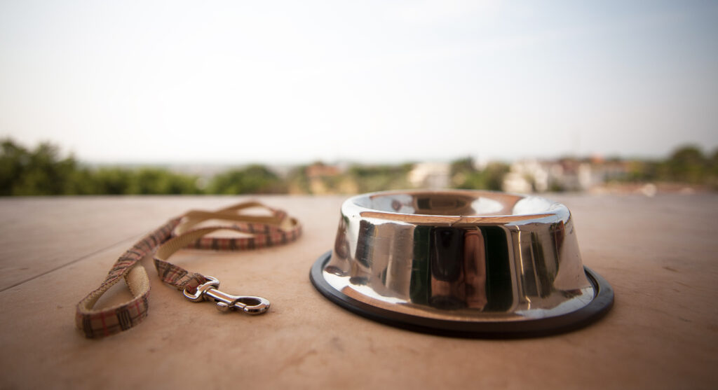 empty dog bowl and leash